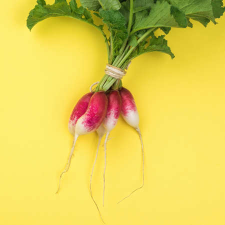 Radish fruits tied with a rope on a yellow background. The concept of growing radishes.