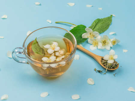 Jasmine flowers and jasmine tea on a blue background. An invigorating drink that is good for your health.の写真素材