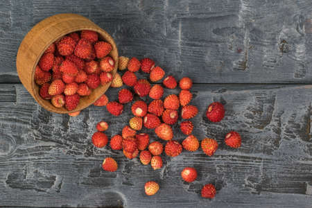 A large amount of wild strawberries spilling out of a wooden bowl. Fresh crop.