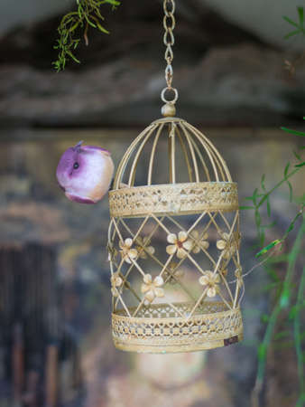 The figure of a small purple bird on a hanging cage. Keeping birds at home.の写真素材