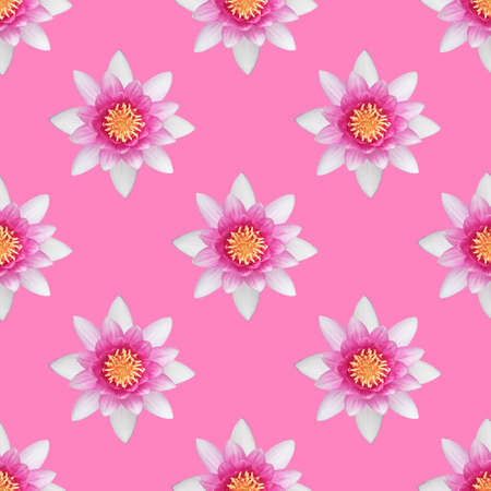 Seamless pattern of water lily flowers on a pink background. A water plant.の写真素材
