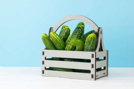 A wooden box with cucumbers on a white table on a blue background. A fresh crop of vegetables.の写真素材
