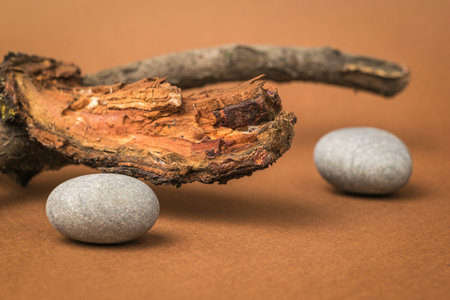 Old wood and stones on a brown background. The concept of serenity.の写真素材