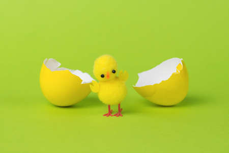A split yellow egg and a yellow chicken on a green background. The concept of a new life.の写真素材