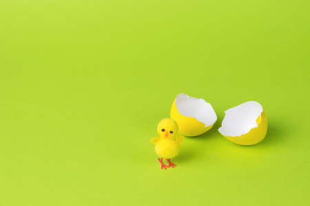 A small chicken near a broken egg on a green background. The concept of a new life.