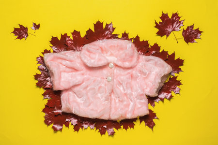 Women's pink fur cape in red maple leaves on a yellow background. The concept of autumn cold weather. Flat lay.の写真素材