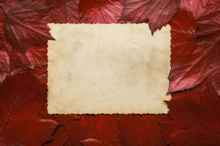 A sheet of old paper on a background of red autumn leaves. Space for the text. Autumn background. Flat lay.の写真素材