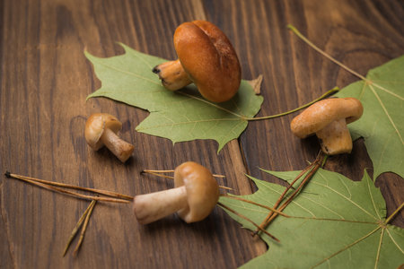 Forest mushrooms and leaves scattered on a wooden table. Natural vegetarian food from the forest.の写真素材