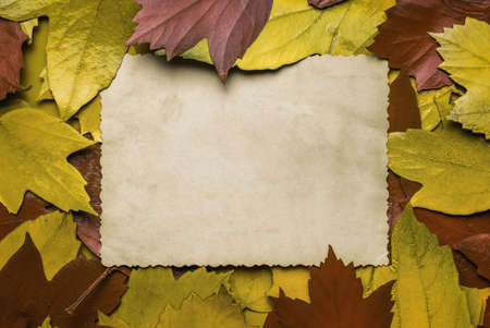 A sheet of antique paper in autumn yellow and red leaves. Space for the text. Autumn background. Flat lay.の写真素材