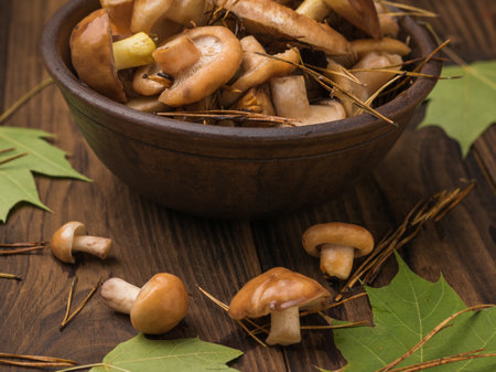 Several types of wild mushrooms in a clay cup on a wooden table. Natural vegetarian food from the forest.の写真素材