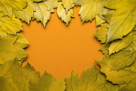 A frame of yellow autumn leaves on an orange background. Space for the text. Autumn background. Flat lay.の写真素材