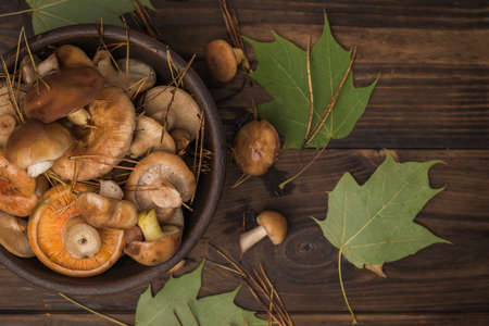 Forest mushrooms and autumn maple leaves on a wooden table. Natural vegetarian food from the forest. Flat lay.の写真素材