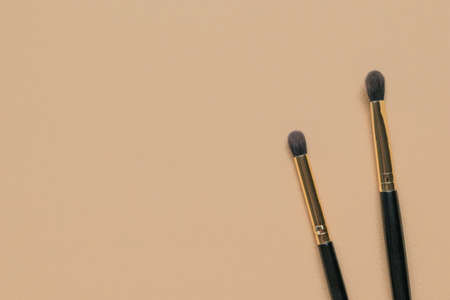 Two makeup brushes on a light beige background. Stylish women's cosmetics.の写真素材