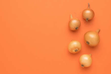 A few ripe bulbs on an orange background. Autumn harvest. Space for text. Flat lay.の写真素材