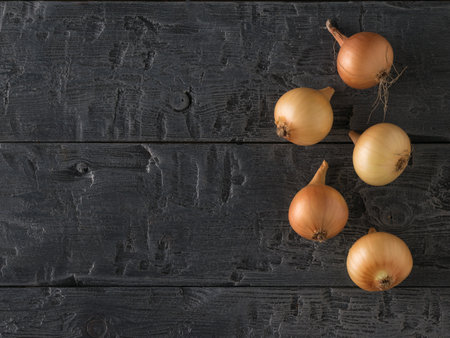Five fresh ripe onions on a black wooden table. Autumn harvest.の写真素材