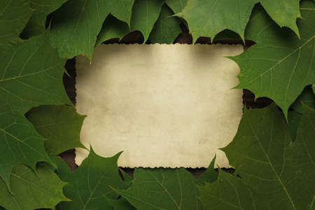 A sheet of antique paper in autumn yellow and red leaves. Space for the text. Autumn background....