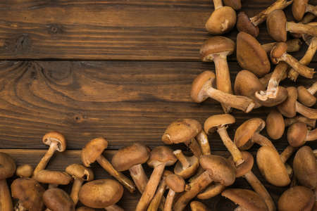 A large number of wild mushrooms on a wooden table. Space for text. Natural vegetarian food from the...