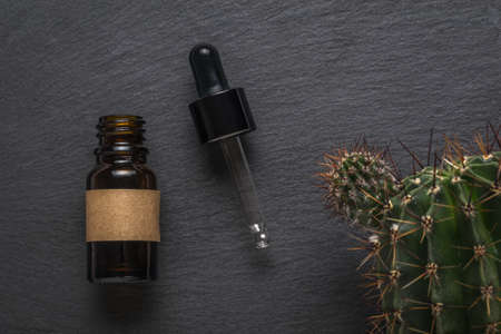 An open dropper bottle and a cactus on a stone background. The concept of natural cosmetics and...