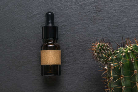A green cactus and a closed dropper bottle on a black stone background. The concept of natural cosmetics and medicine.の写真素材