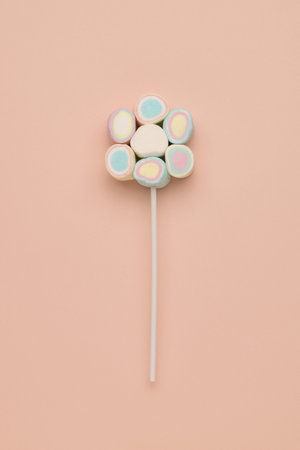 A set of colorful marshmallows on a stick on a pastel background. The idea of a festive sweetness.の写真素材