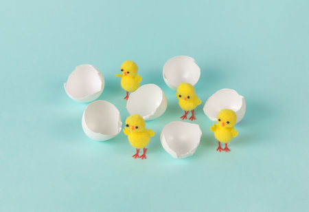 Eggshells and chicken figures on a blue background. The concept of the birth of a new life.