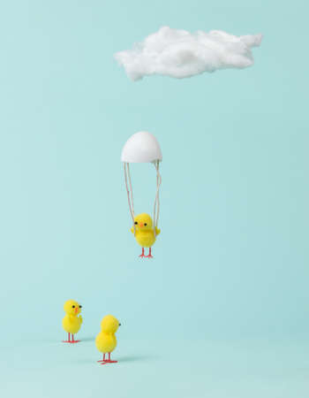 Two chickens are watching a chicken descending on a parachute. Easter concept.