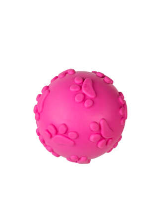 Bright red ball rubber toy for dogs. Accessories for pets.の写真素材