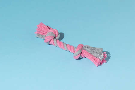Colorful rope with knots for dog games. A toy for pet dogs.の写真素材