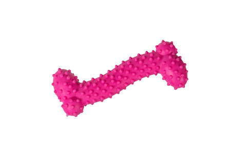 Rubber red bone toy for pet dogs. Accessories for pets.の写真素材