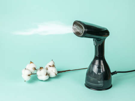 Electric steamer and a sprig of cotton on a blue background. The concept of linen care.の写真素材