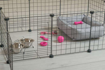 A special place for pets with toys. Comfort for pets.の写真素材