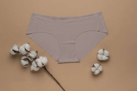 A dry cotton branch and beige women's underpants on a brown background. Women's underwear. flat lay.