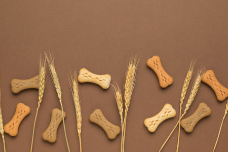 Cookies in the form of bones for dogs and ears on a brown background. A delicious treat for dogs with cereals. flat lay.の写真素材