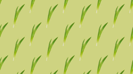 A pattern of grass leaves on a light green background. natural background.