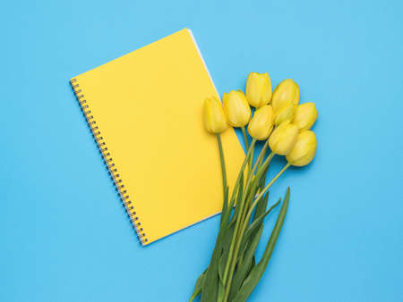 A bouquet of yellow tulips and a yellow notebook on a blue background. minimal concept. flat lay.