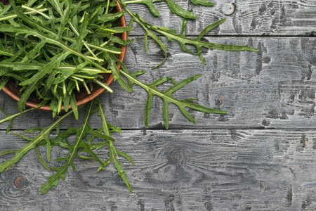 A bowl with arugula leaves in the corner of a wooden table. Vitamin vegetarian food. flat lay.の写真素材