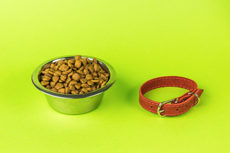 A bowl with dry dog food and a red collar on a green background. The minimum concept of keeping pets.の写真素材