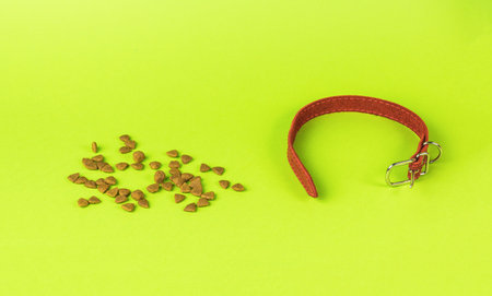 An unbuttoned dog collar and dry food on a green background. The minimum concept of keeping pets.