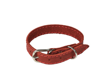 A buttoned red dog collar isolated on a white background. An accessory for pets.の写真素材
