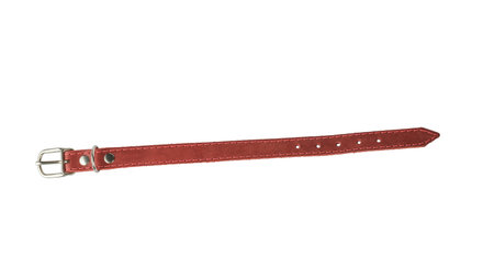 Top view of a red leather dog collar isolated on a white background. An accessory for pets.の写真素材