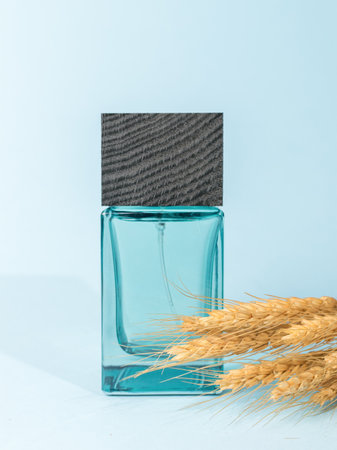 Ears of rye and men's perfume on a blue background. The concept of men's perfumes.