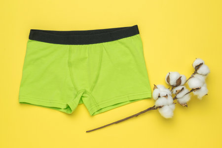 Green men's boxer briefs with a sprig of cotton on a yellow background. Stylish men's underwear.の写真素材