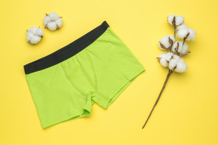 A sprig of cotton and stylish men's green briefs on a yellow background. Stylish men's underwear.の写真素材