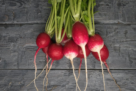 A bunch of ripe radishes on a wooden table. Healthy and healthy, natural food.の写真素材
