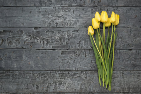 Several yellow tulips on a dark wooden table. A place for your text.の写真素材