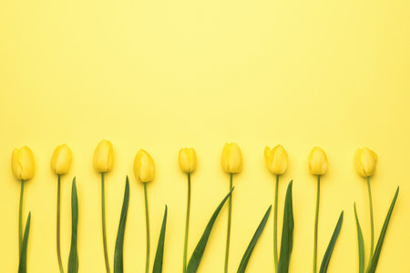 A row of yellow tulips on a light yellow background. Monochrome image of beautiful spring flowers.の写真素材