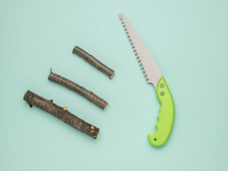 Pruning Handsaw with Green Handle and Cut Tree Branches on Light Blue Backgroundの写真素材