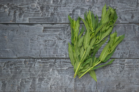 Fresh Green Herbs on Rustic Wooden Background for Culinary and Health Useの写真素材