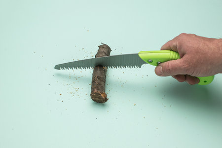 Hand Using Green Handle Saw to Cut Small Branch on Light Blue Backgroundの写真素材