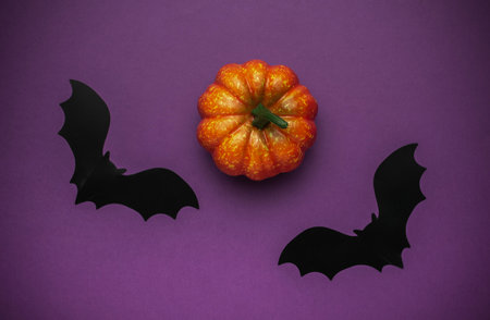 Halloween Pumpkin and Bats on Purple Backgroundの写真素材